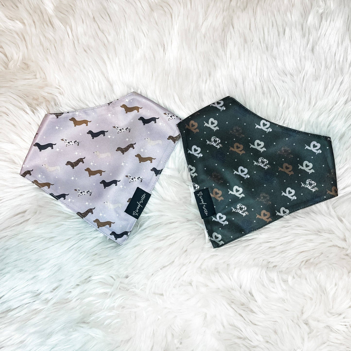 Whimsical Weens Double Sided Dog Bandana