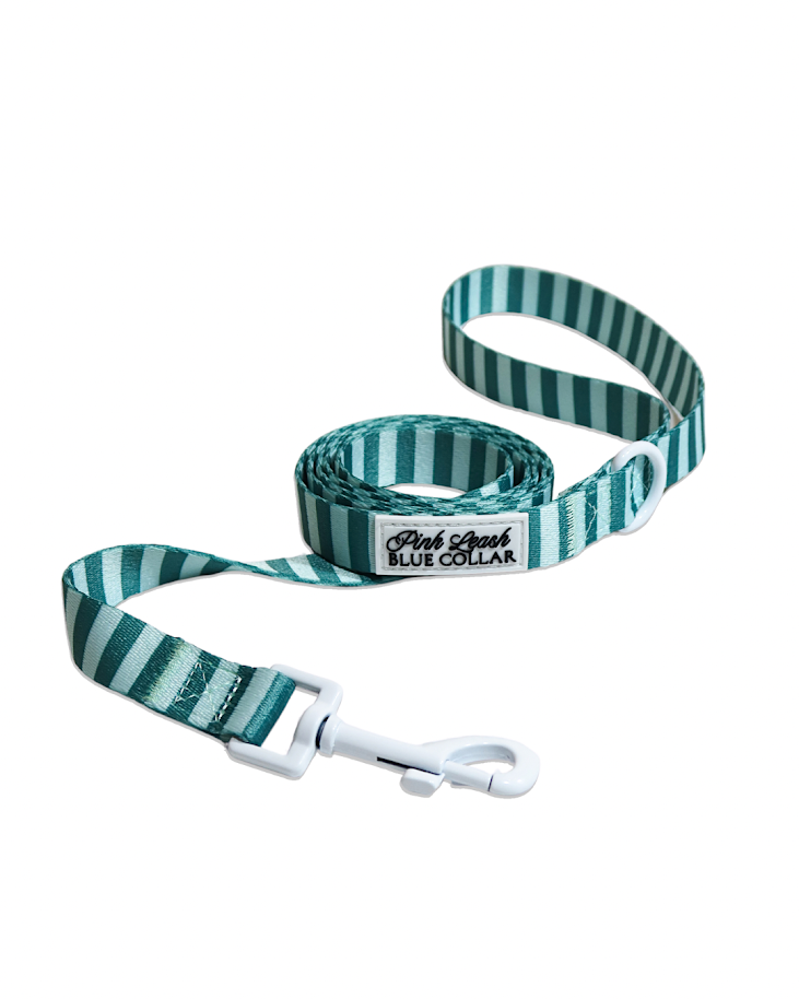 Mint and Green Striped Leash