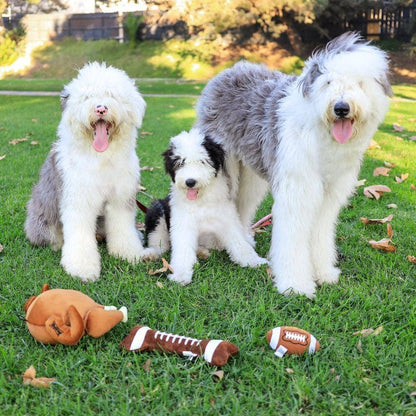 Power Plush Football Bone For Dogs