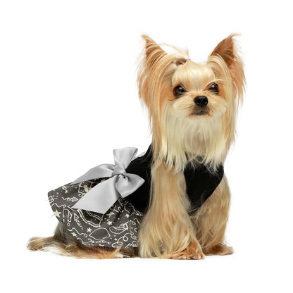 Make a wish Dog Dress