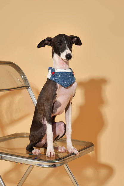 Reversible Denim Cherry Overalls Pet Bandana
