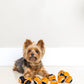 Midlee Orange/Black Mini Dog Halloween Tennis Balls (12pk)