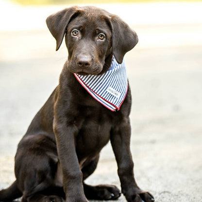 The Hamlet Stripe Bandana