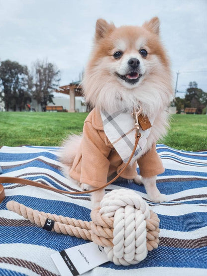 Eco friendly Dog Rope Toy - Large Twisted Dog Toy - Tan
