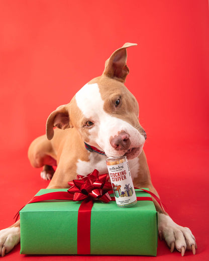 Minitubo navideño: regalo para rellenar medias navideñas: golosinas para perros