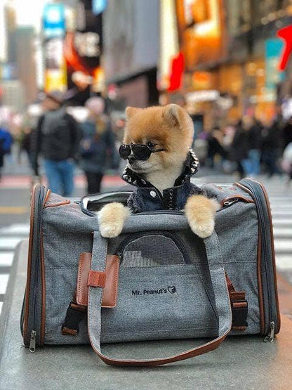 Transportín para mascotas apto para aerolíneas de la serie Gold de Mr. Peanut - Gris platino