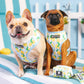 Frenchie Duo Reversible Harness - Lemon Tree