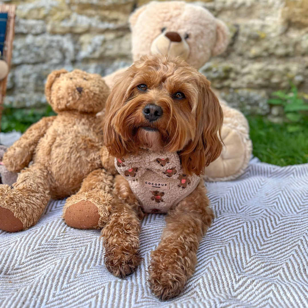 Pajarita de peluche bordada Theo