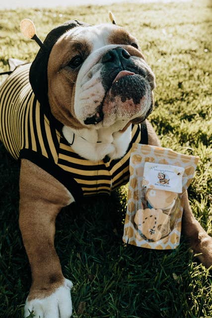 Bumble Bee Dog Cookies-6.5oz Bag