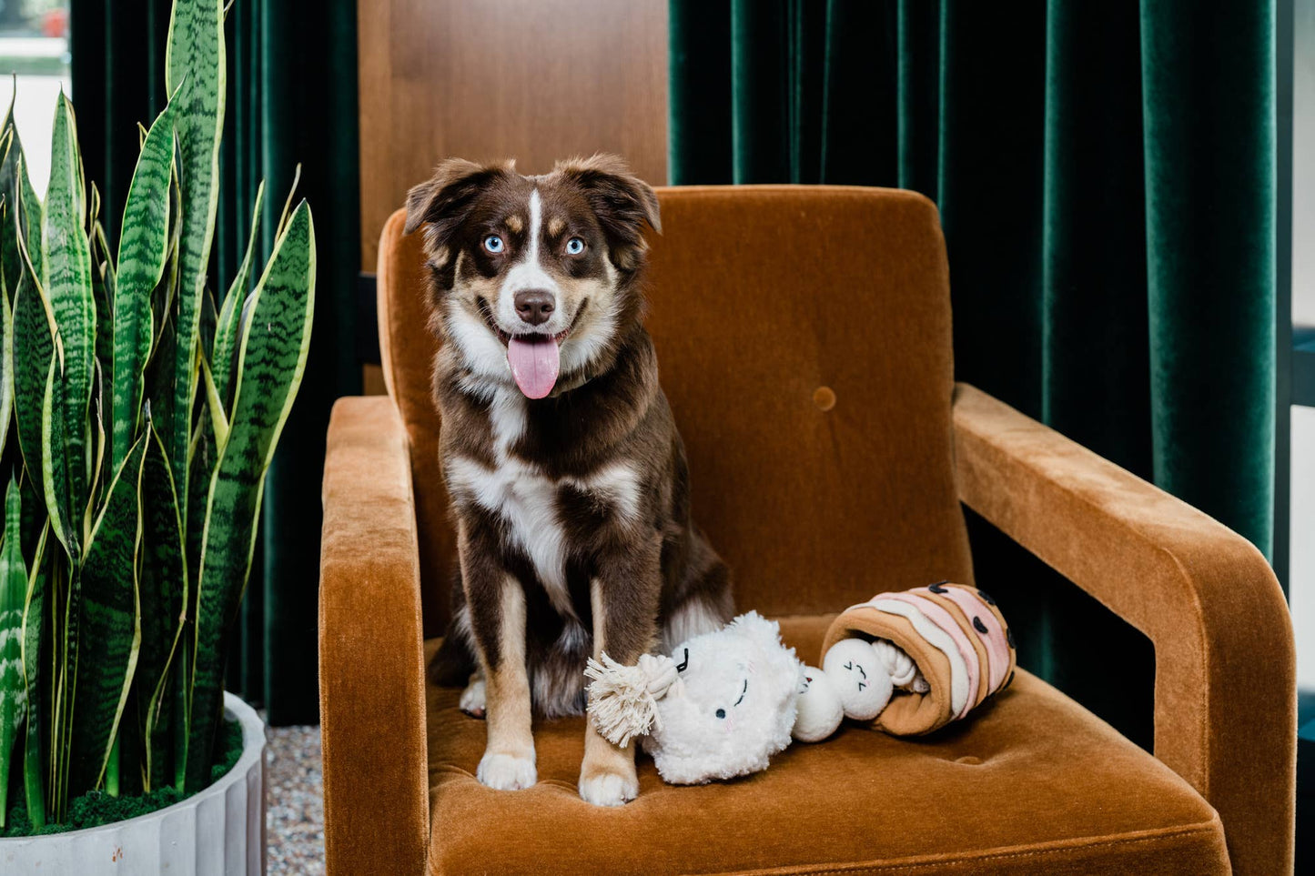 Boba time snuffle toy