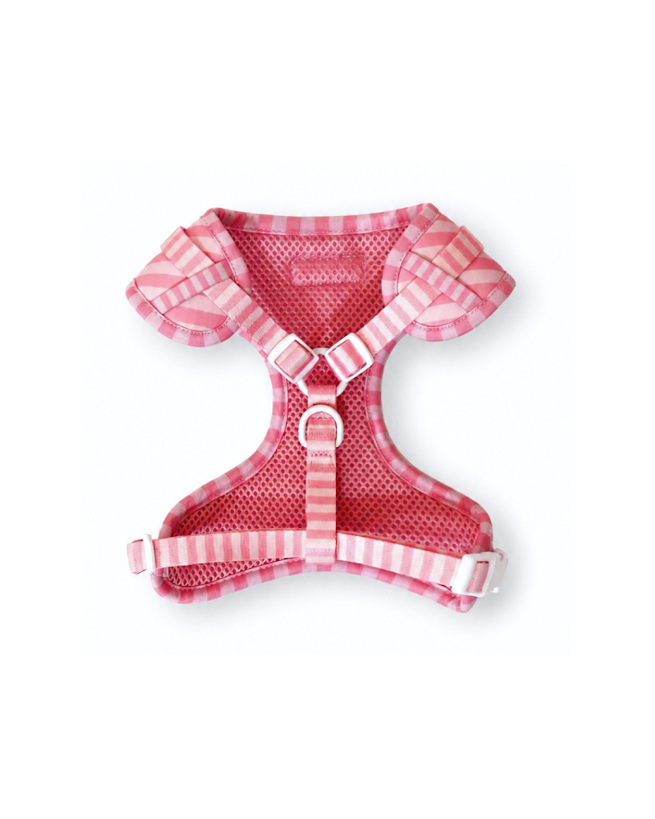 Pink on Pink Striped Harness