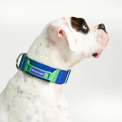 Tactical Dog Collar - Lime Wave