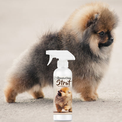 Olfateo de colonia Strut Dog irresistible
