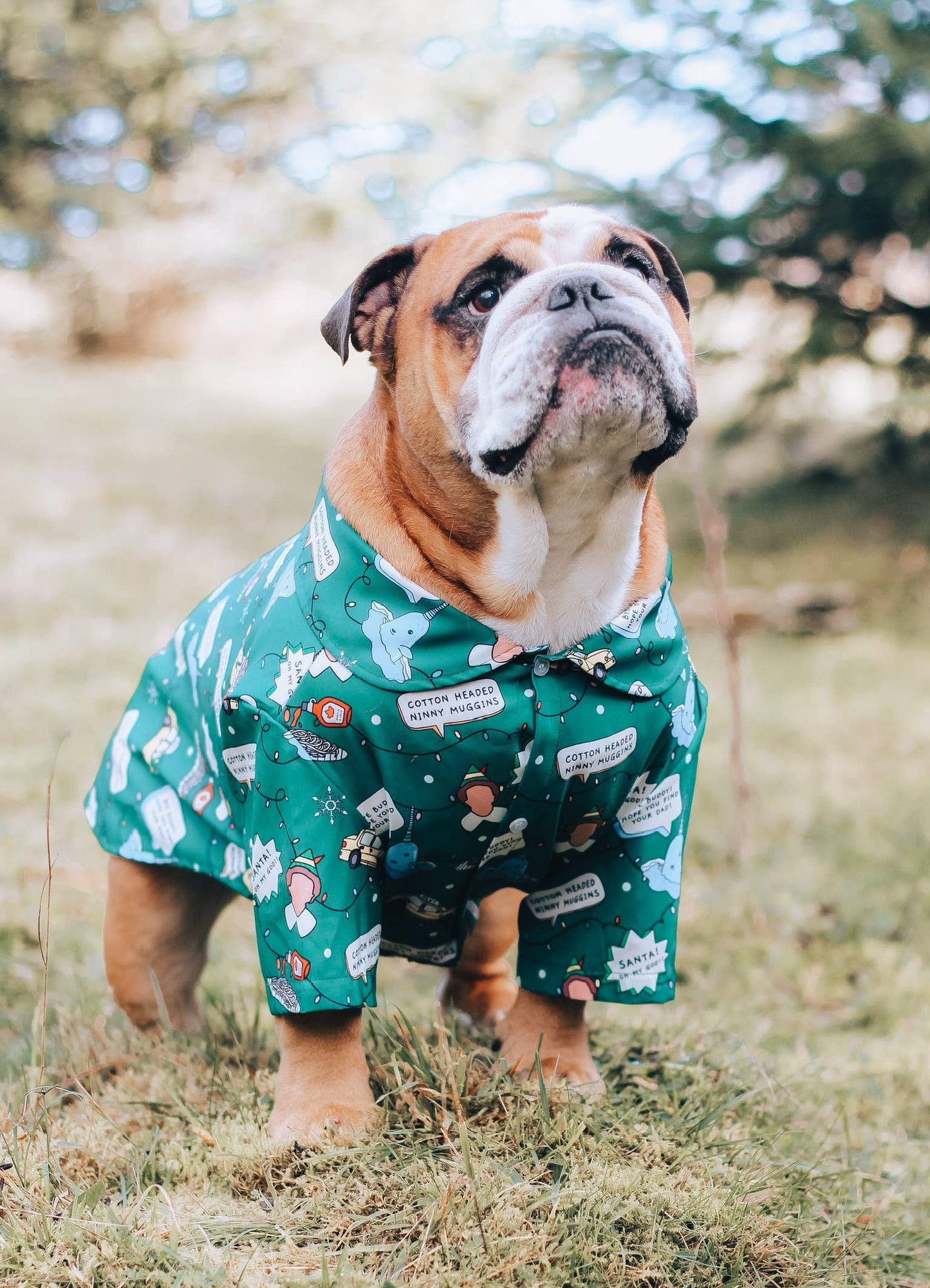 Christmas Elf Dog Shirt