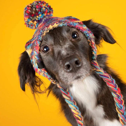 Gorro de punto con pompones para perro - Kaleidoscope