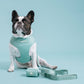 Frenchie Duo Reversible Harness - Sage