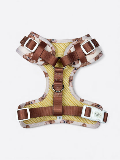 The Little Bear Cub Adjustable Dog Harness