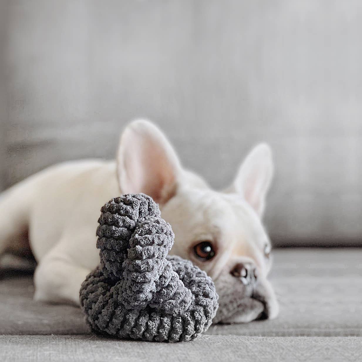 NouNou Slate Corduroy Enrichment Dog Toy