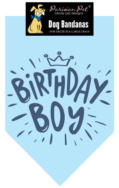 Birthday Boy Dog Bandana