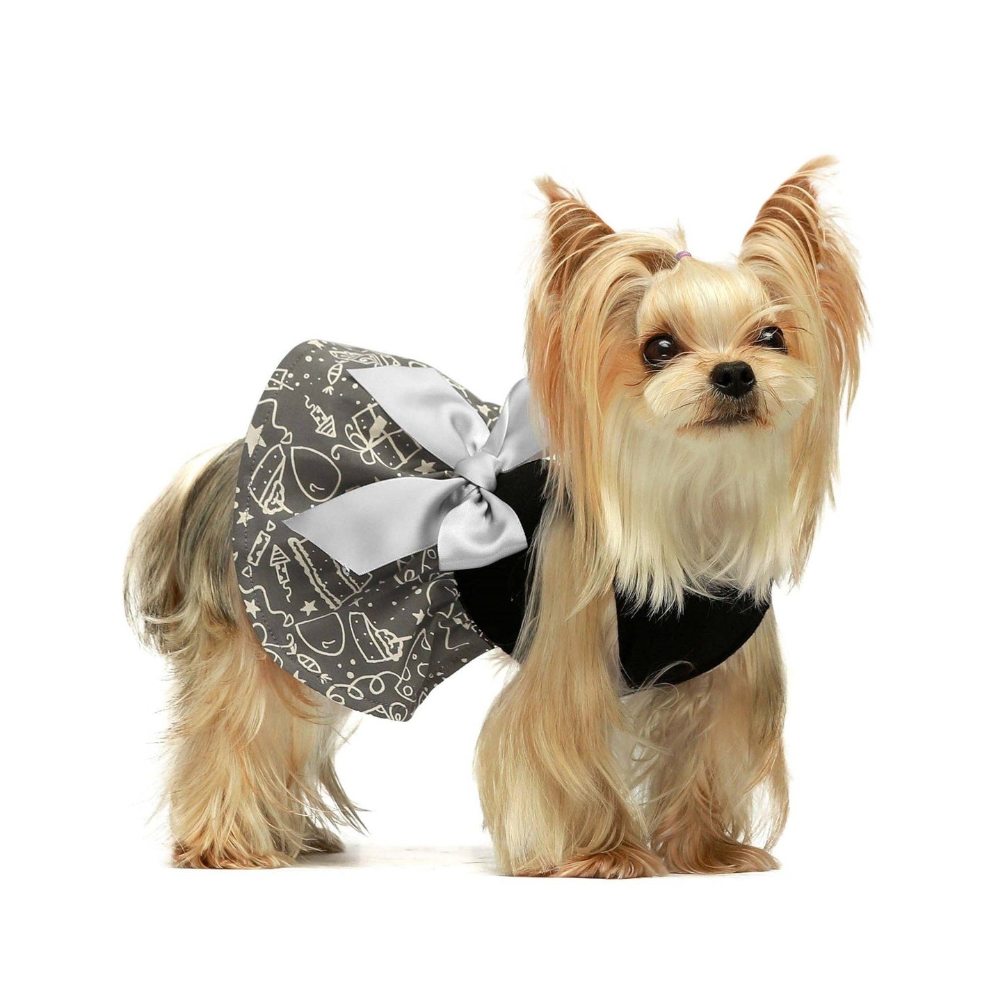 Make a wish Dog Dress