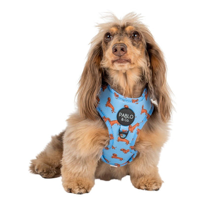 Arnés ajustable para perros Dachshund