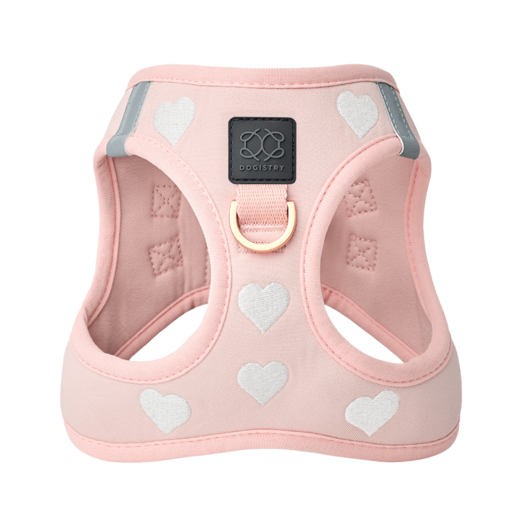 SoHo Dog Harness - Hearts