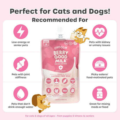 Berry Good Milk Pouch