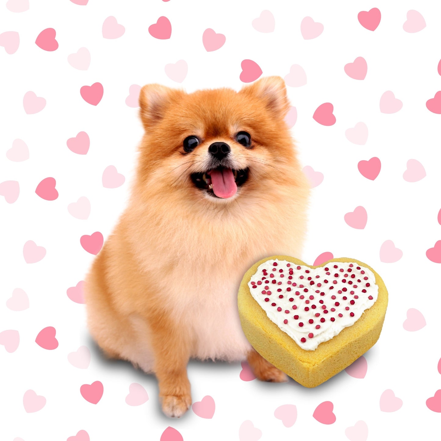 Puppy Love Cake Kit