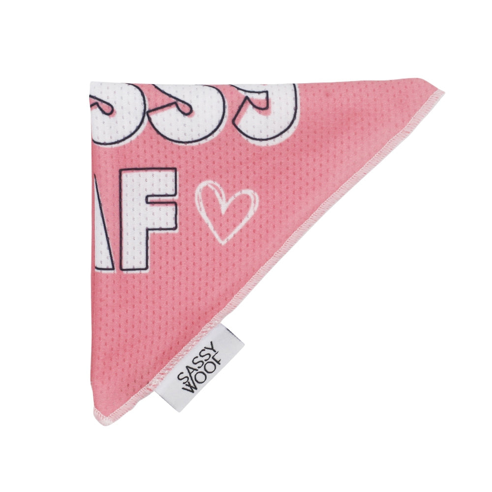 Sassy AF - Cooling Dog Bandana