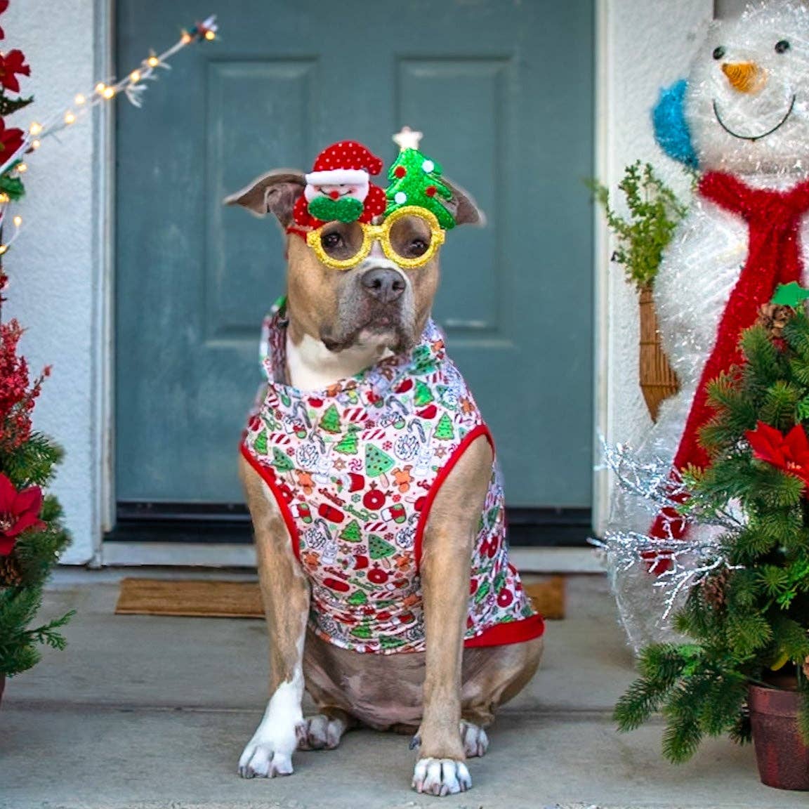 Santa's Snacks Muscle Tee
