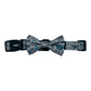 Mamas Boy Adjustable Dog Collar