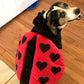 Lady Bug Halloween Dog Costume