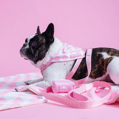 Bandana refrescante Frenchie - Cuadros de color rosa chicle