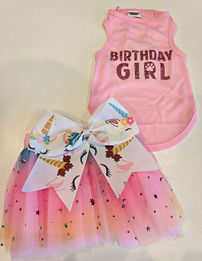 Birthday Girl Dog Party Outfit