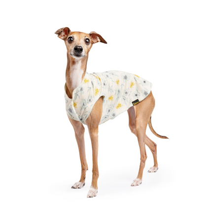 Sun Shield UPF Dog Tee - Assorted Styles
