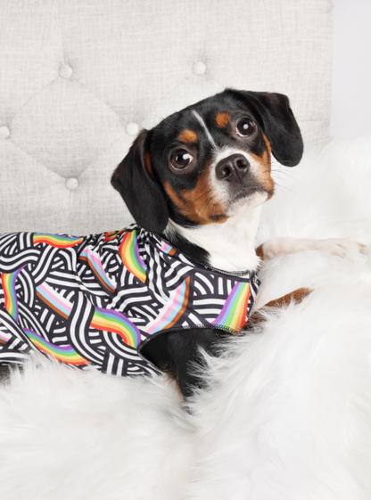 Sun Shield UPF Dog Tee - Assorted Styles