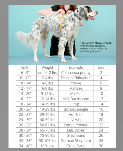 Sun Shield UPF Dog Tee - Assorted Styles