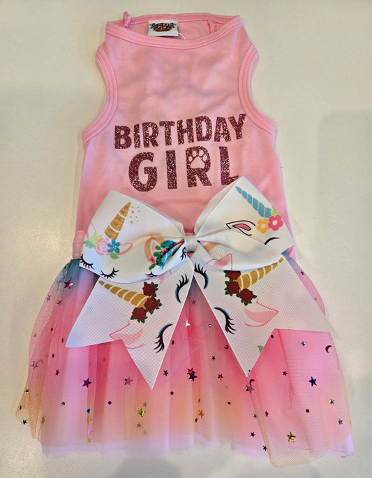 Birthday Girl Dog Party Outfit