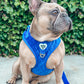Velvet Adjustable Dog Harness - Assorted Colors