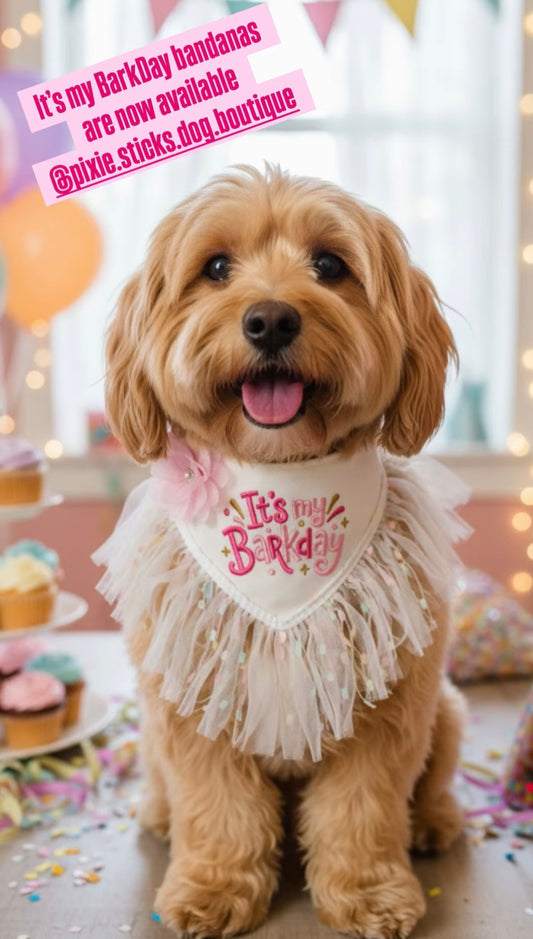 Its My BarkDay Pink with Piping Trim Dog Bandana