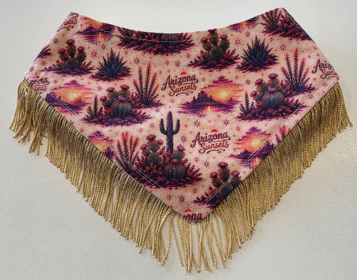 Desert Howdy with Fringe Trim Reversible Dog Bandana