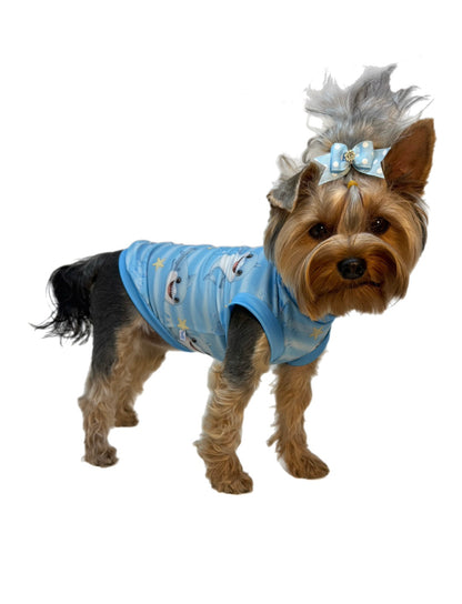 Little Wave Maker (Shark) Dog Cooling Tank