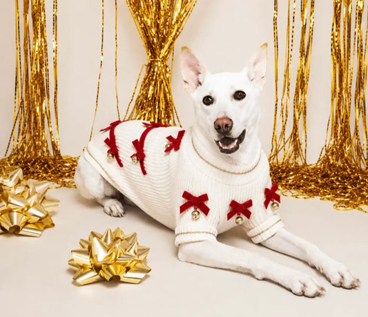 Red Ribbon Jingle Bells Dog Sweater