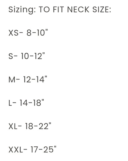 Unicorn 1st Birthday Frill Dog Bandana