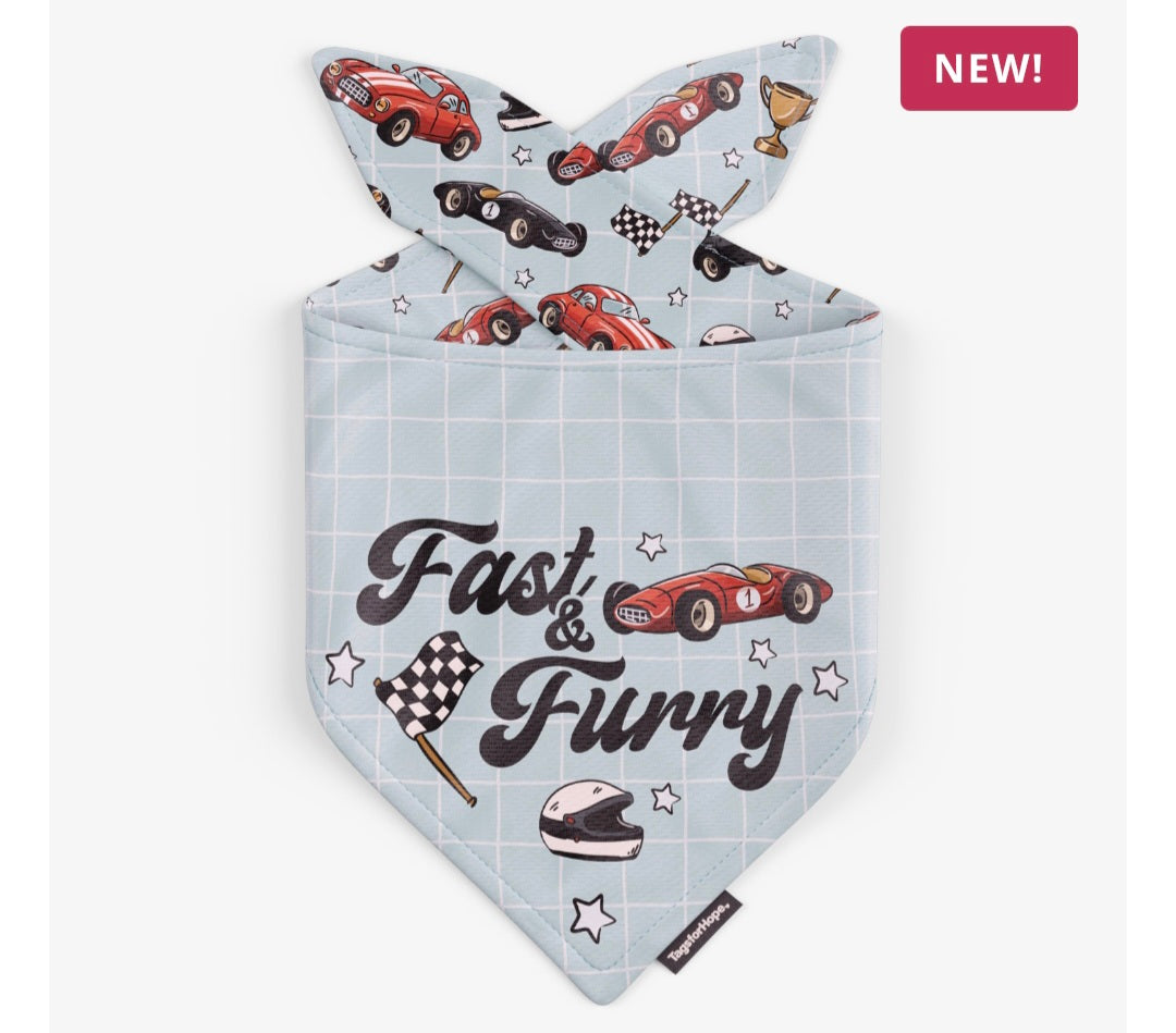 Fast & Fury Cars Reversible Dog Bandana