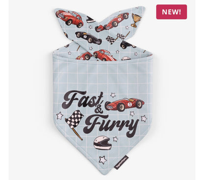 Fast & Fury Cars Reversible Dog Bandana