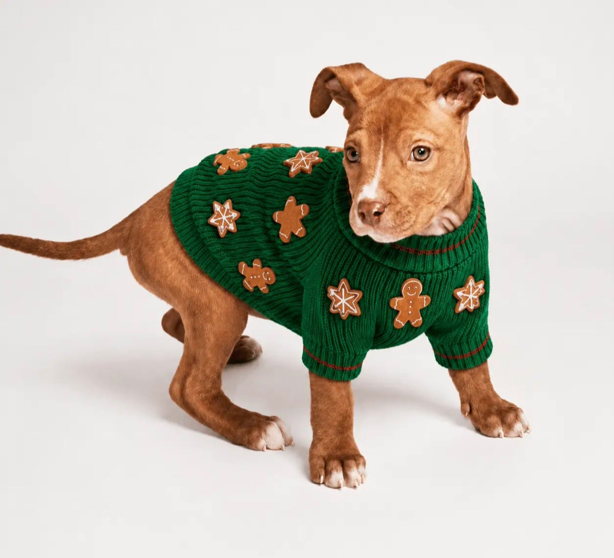 Gingerbread Christmas Cookie Dog Sweater