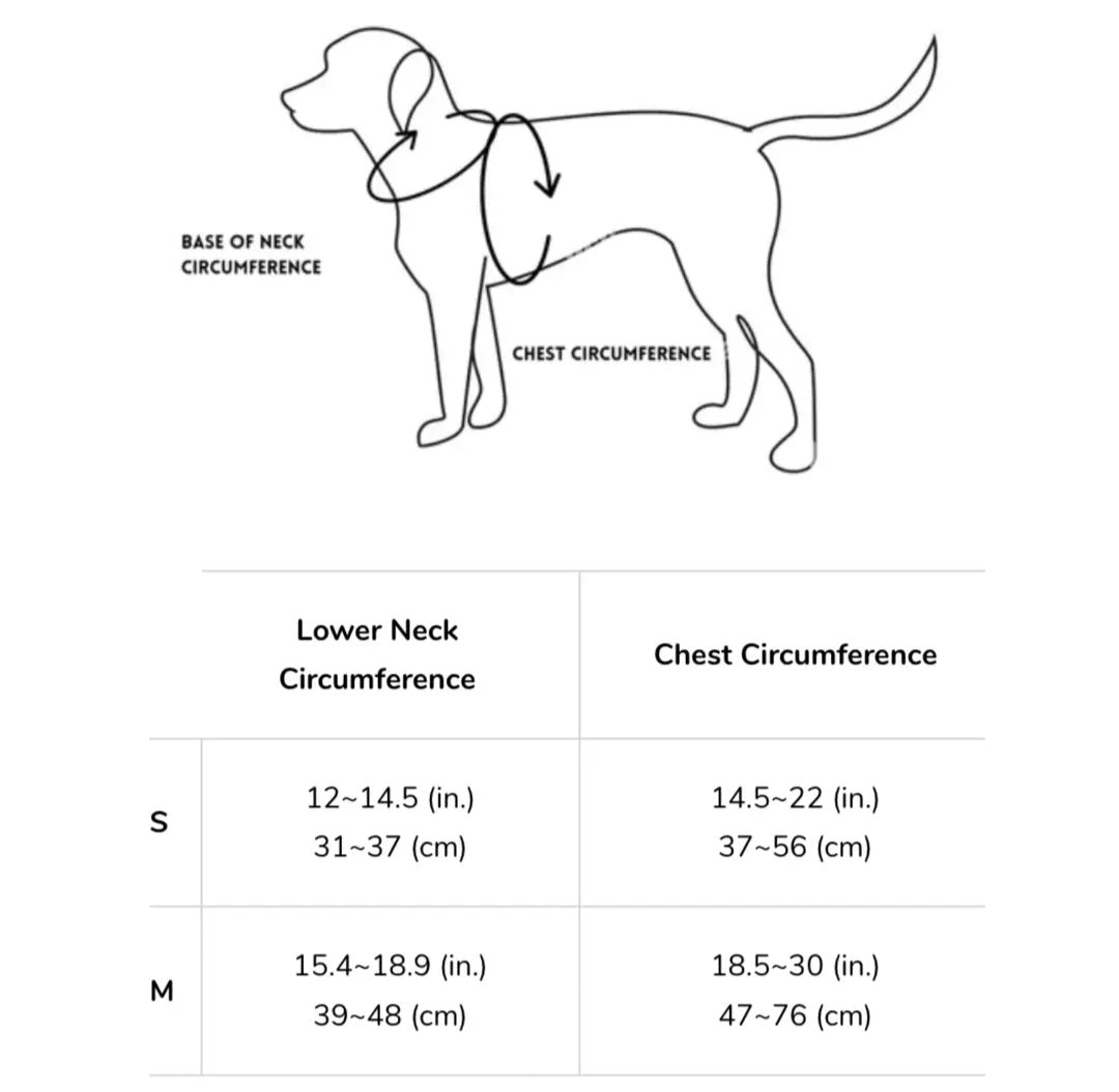 Jelly Dog Harness - Grape Jelly