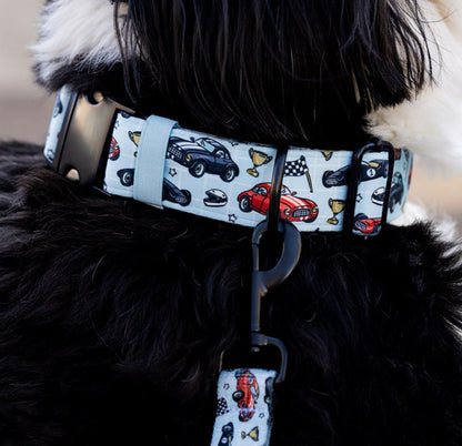 Fast & Furry Cars Dog Collar