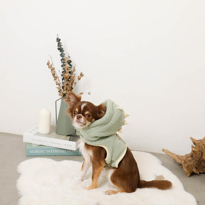 Dinosaur Boa Harness